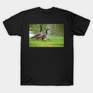 Ma and Pa stand Watch T-Shirt